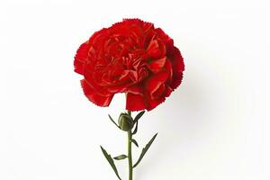 AI generated Red rose bouquet isolated on white background. AI Generated photo
