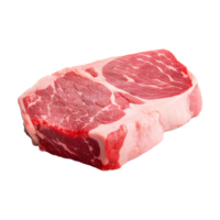 ai généré pièce de Frais Viande isolé sur blanc Contexte png