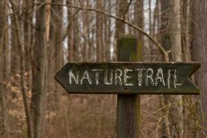 This sign in the woods marks the area of the trail. Helping to keep hikers from getting them lost and leading the way. The brown paint looks worn and chipping. The white letters standing out. photo