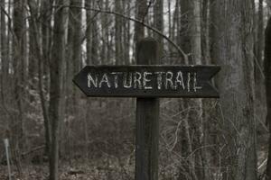 This sign in the woods marks the area of the trail. Helping to keep hikers from getting them lost and leading the way. The brown paint looks worn and chipping. The white letters standing out. photo