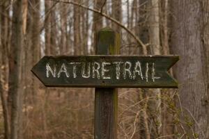 This sign in the woods marks the area of the trail. Helping to keep hikers from getting them lost and leading the way. The brown paint looks worn and chipping. The white letters standing out. photo