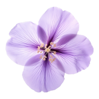 ai généré violet fleur isolé sur transparent Contexte png