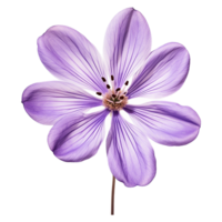 ai genererad violett blomma isolerat på transparent bakgrund png