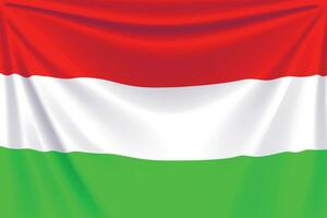 back flag hungary vector