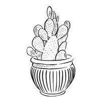 A simple line drawing of a cactus in a pot. vector