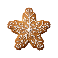 ai generato Natale fatti in casa Pan di zenzero biscotto isolato su un' trasparente sfondo, png