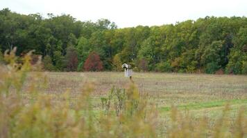 The bird house view in the reserved wild park photo