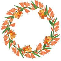 Round wreath of buds of orange lilies and gladiolus vector