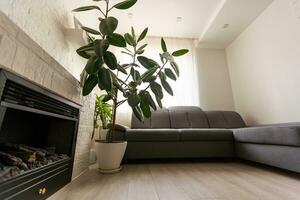 Bright living room in a modern luxury house photo