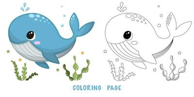 Coloring page of whale vector