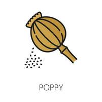 Poppy seeds color outline icon, papaver vector