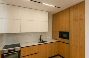 Beautiful Modern Kitchen in a Luxury Apartment photo