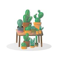 vector cactus decoración