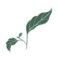 Chili pepper leaves icon. Color silhouette of green leaf vector