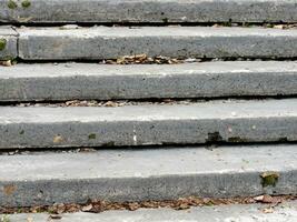 old concrete stairs in a city park photo