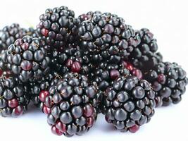 Blackberries with white background AI Generative photo