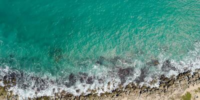 bird view  of coast and sea AI Generative photo