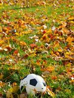 football on the grass in autumn AI Generative photo