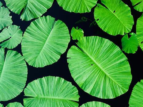 green leaves background AI Generative photo