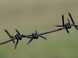 barbed wire against the sky AI Generative photo