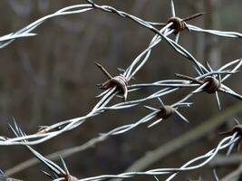 barbed wire against the sky AI Generative photo