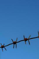 barbed wire against the sky AI Generative photo