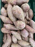 Manihot esculenta root in fruit shop photo