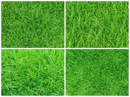 background from green grass texture pattern photo