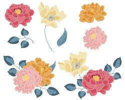 mano dibujado Rosa y anémona flor vector