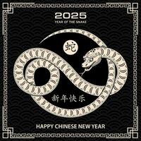 Happy Chinese new year 2025 Zodiac sign, year of the Snake vector