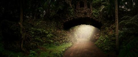 Old stone bridge in the jungle photo