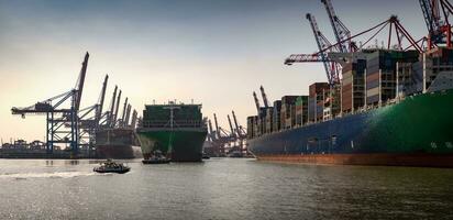 Container terminal in the port of Hamburg in sunny weather photo