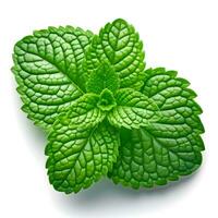 AI generated A top and closeup view of fresh and raw mint leaf photo