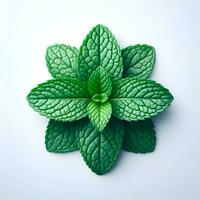 AI generated A closeup and decorated view of fresh and raw mint leaf photo