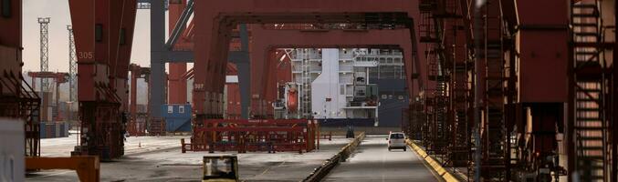 Container terminal in the port of Hamburg in the late afternoon photo