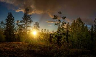 pequeño panorama de un bosque a puesta de sol foto