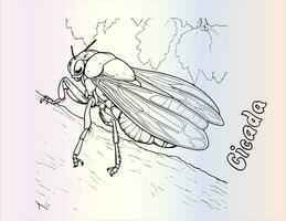 Cicada Coloring Page For Kids vector