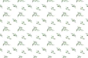 white flower with leaf as seamless pattern background vector