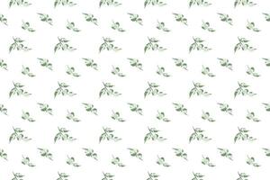 white flower with leaf as seamless pattern background vector