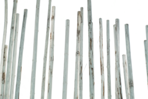 Bamboo logs painted white are arranged as decorations isolated transparent background png