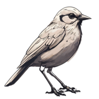 AI generated Bird on the foot png