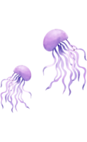 medusa transparente fundo png