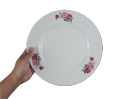 hand holding ceramic plate png