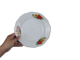 hand holding ceramic plate png