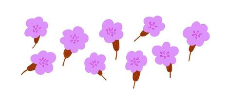 Vector set of spring pink flowers isolated on white