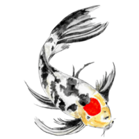 Calming Watercolor Koi Fish png