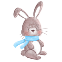 Cute Winter Bunny png