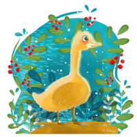 Cute Duck Illustration png