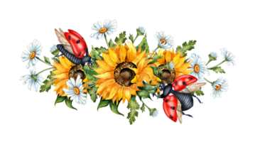 Watercolor illustration of a wreath of yellow sunflowers, white daisies and red ladybugs. Harvest Festival. The border is isolated. Compositions for posters, cards, banners, flyers, covers, placards. png