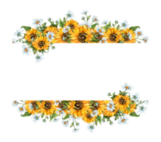 waterverf illustratie van een kader van geel zonnebloemen en wit madeliefjes. oogst festival. grens van top naar bodem geïsoleerd. composities voor affiches, kaarten, spandoeken, flyers, dekt, speelbiljetten png